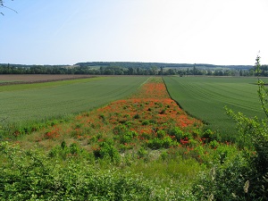 May in the Loire Valley
