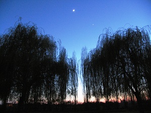 March weather in Loire Valley